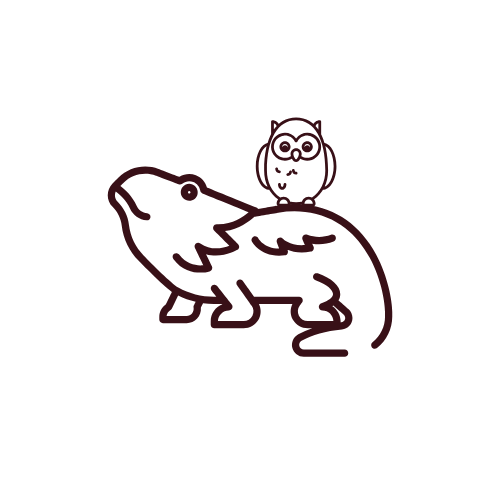 東京中野区のフトアゴヒゲトカゲ 販売ブリーダー