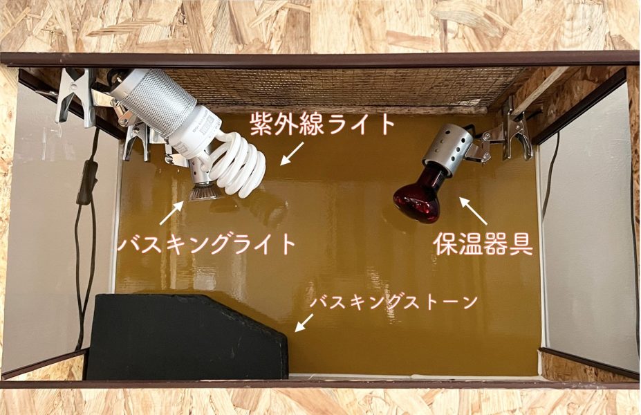 フトアゴヒゲトカゲ 飼い方 飼育ケージ